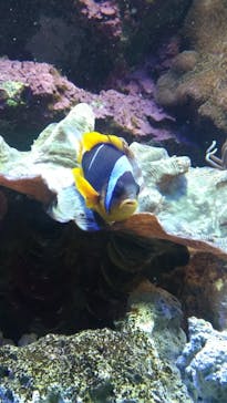 サンシャイン水族館に投稿された画像（2020/9/22）