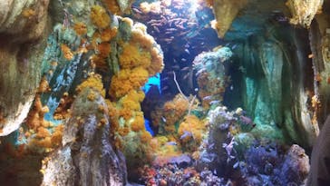 サンシャイン水族館に投稿された画像（2020/9/22）