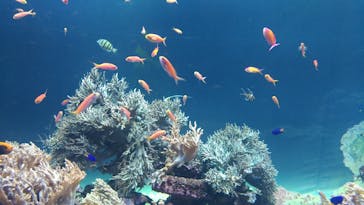 サンシャイン水族館に投稿された画像（2020/9/22）
