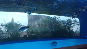 サンシャイン水族館に投稿された画像（2020/9/22）