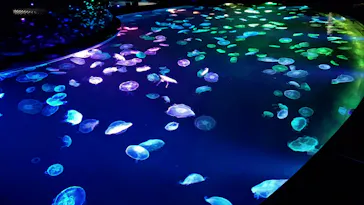 すみだ水族館に投稿された画像（2020/9/22）