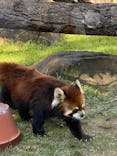 天王寺動物園に投稿された画像（2020/9/22）