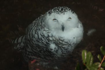 よこはま動物園ズーラシアに投稿された画像（2020/9/22）