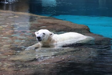 よこはま動物園ズーラシアに投稿された画像（2020/9/22）