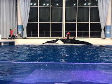 アクアワールド茨城県大洗水族館に投稿された画像（2020/9/22）