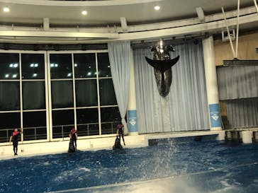 アクアワールド茨城県大洗水族館に投稿された画像（2020/9/22）