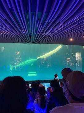 島根県立 しまね海洋館に投稿された画像（2020/9/22）