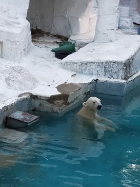 天王寺動物園に投稿された画像（2020/9/22）