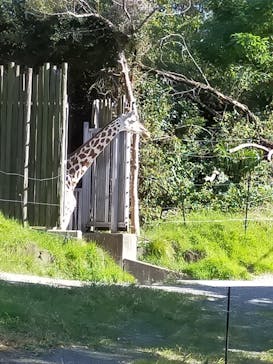 天王寺動物園に投稿された画像（2020/9/22）
