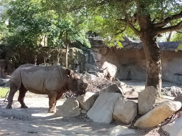天王寺動物園に投稿された画像（2020/9/22）
