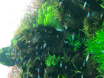 すみだ水族館に投稿された画像（2020/9/22）