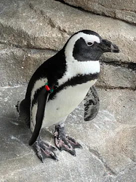 仙台うみの杜水族館に投稿された画像（2020/9/22）