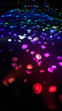 すみだ水族館に投稿された画像（2020/9/22）