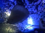 しながわ水族館に投稿された画像（2020/9/22）