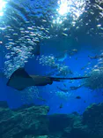 仙台うみの杜水族館に投稿された画像（2020/9/22）