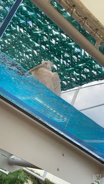 サンシャイン水族館に投稿された画像（2020/9/22）