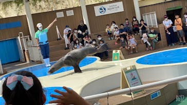 サンシャイン水族館に投稿された画像（2020/9/22）