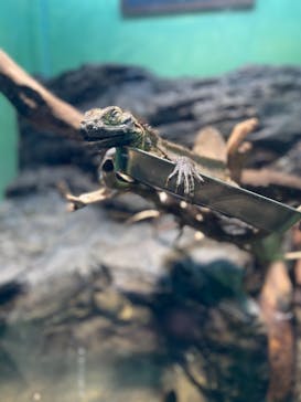 サンシャイン水族館に投稿された画像（2020/9/22）