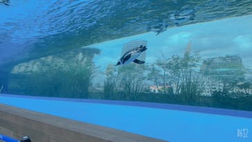 サンシャイン水族館に投稿された画像（2020/9/22）