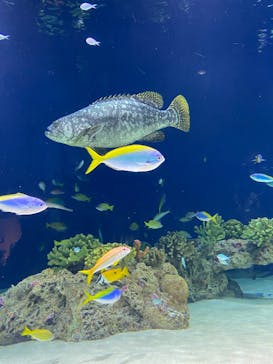 マリンワールド海の中道に投稿された画像（2020/9/22）