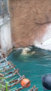 天王寺動物園に投稿された画像（2020/9/22）