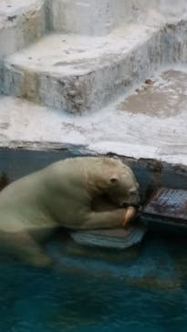 天王寺動物園に投稿された画像（2020/9/22）