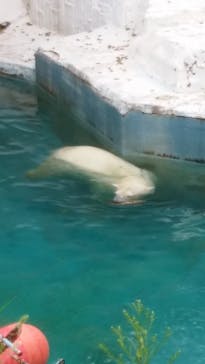 天王寺動物園に投稿された画像（2020/9/22）