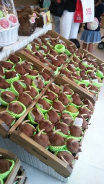 天王寺動物園に投稿された画像（2020/9/22）