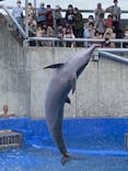 大分マリーンパレス水族館 「うみたまご」に投稿された画像（2020/9/22）