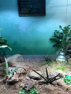 サンシャイン水族館に投稿された画像（2020/9/22）