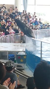 アクアワールド茨城県大洗水族館に投稿された画像（2020/9/22）