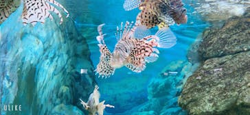 株式会社Gに投稿された画像（2020/9/22）