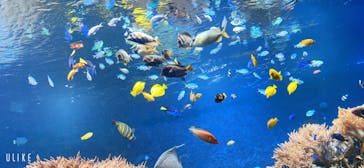 株式会社Gに投稿された画像（2020/9/22）