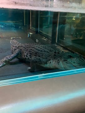 株式会社Gに投稿された画像（2020/9/22）