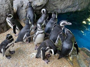 株式会社Gに投稿された画像（2020/9/22）