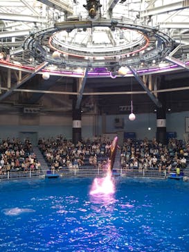 マクセル アクアパーク品川に投稿された画像（2020/9/22）