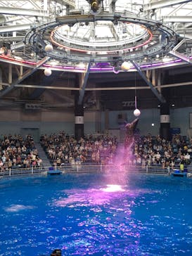 マクセル アクアパーク品川に投稿された画像（2020/9/22）