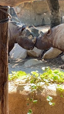 天王寺動物園に投稿された画像（2020/9/22）