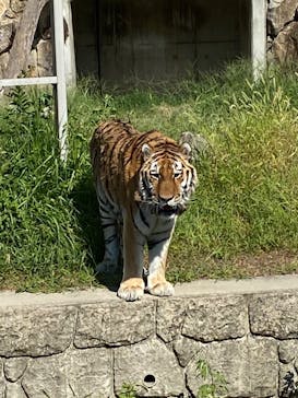 天王寺動物園に投稿された画像（2020/9/22）