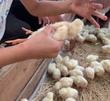 しろとり動物園に投稿された画像（2020/9/22）