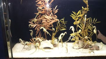 株式会社Gに投稿された画像（2020/9/22）