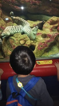 株式会社Gに投稿された画像（2020/9/22）