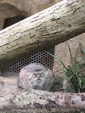 那須どうぶつ王国に投稿された画像（2020/9/22）