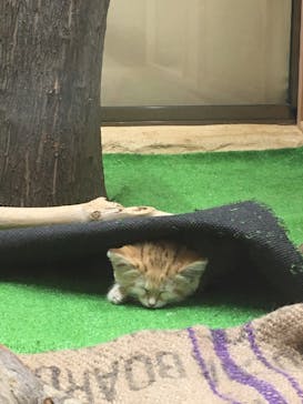 那須どうぶつ王国に投稿された画像（2020/9/22）