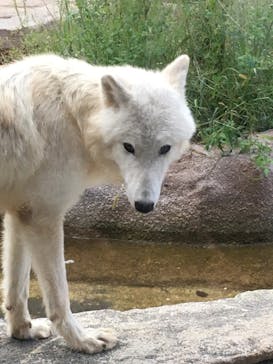 那須どうぶつ王国に投稿された画像（2020/9/22）