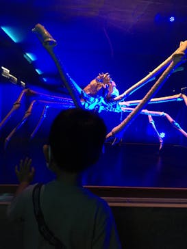 株式会社Gに投稿された画像（2020/9/22）