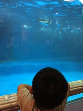 株式会社Gに投稿された画像（2020/9/22）