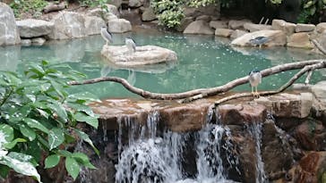 天王寺動物園に投稿された画像（2020/9/22）