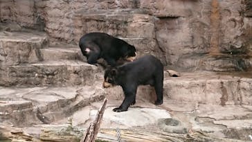 天王寺動物園に投稿された画像（2020/9/22）