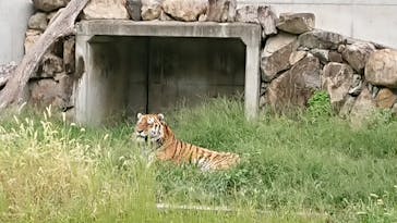 天王寺動物園に投稿された画像（2020/9/22）
